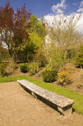 garden with beautiful bench